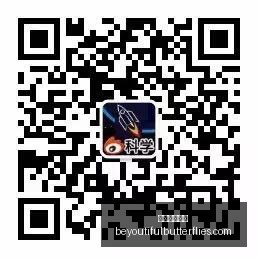迪巴拉世界,杯归来,场场贡献关,永利皇宫赌场官网,永利皇宫赌场App,永利皇宫赌场下载,永利皇宫赌场登录,永利皇宫赌场平台